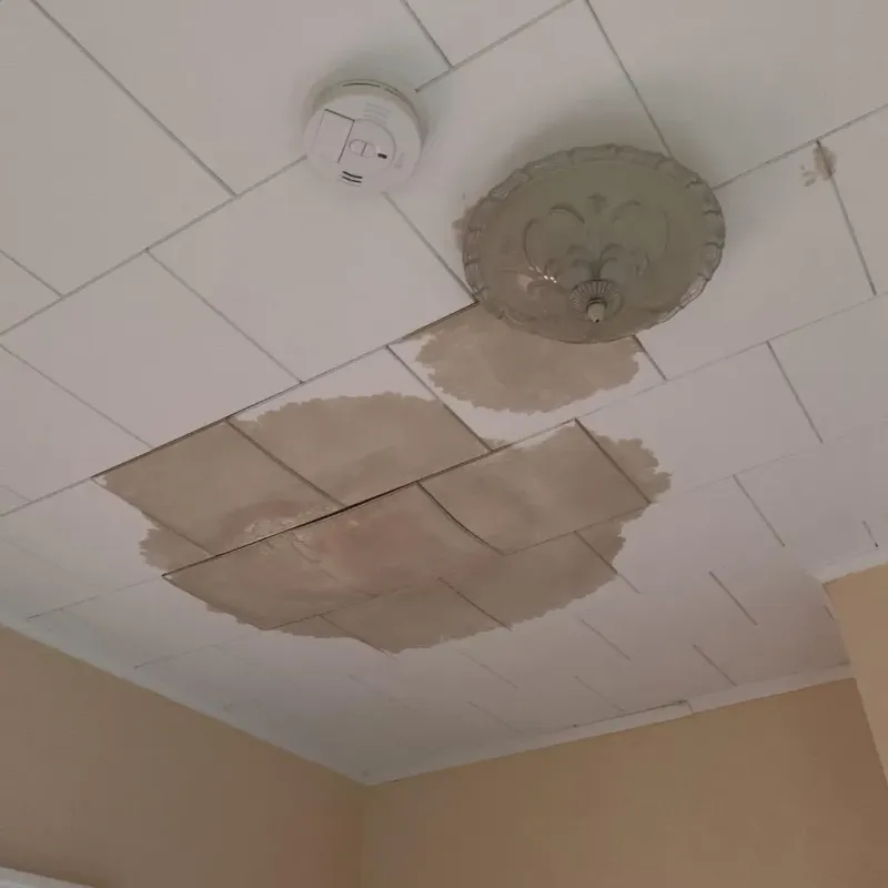 Ceiling Water Damage Repair in Campbell County, TN