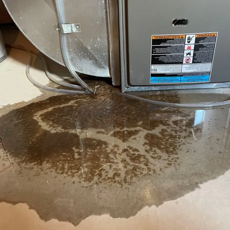 Pipe Burst and Leak Restoration in Campbell County, TN