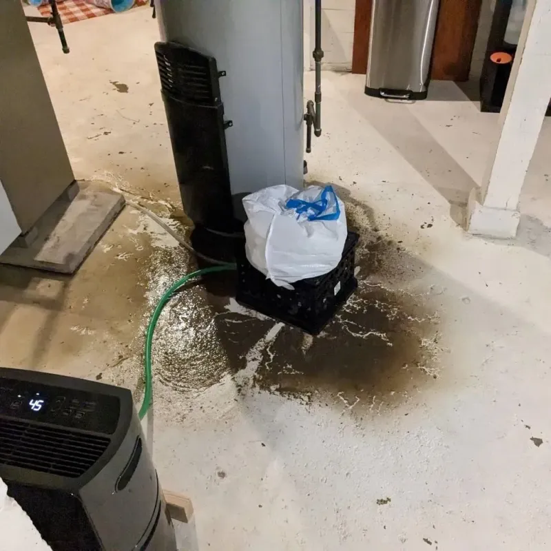 Sewage Backup Cleanup Service in Campbell County, TN
